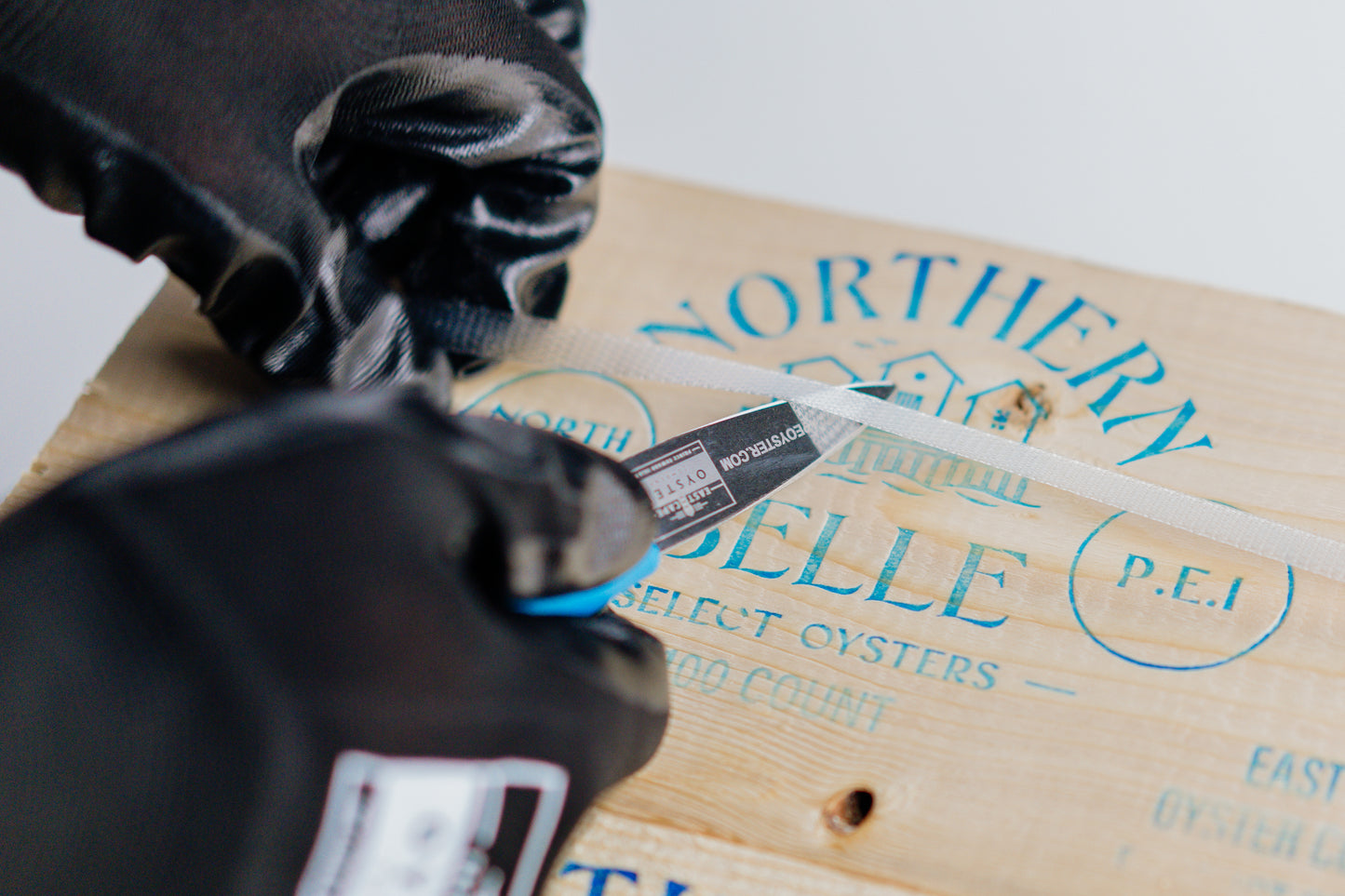 Northern Belle