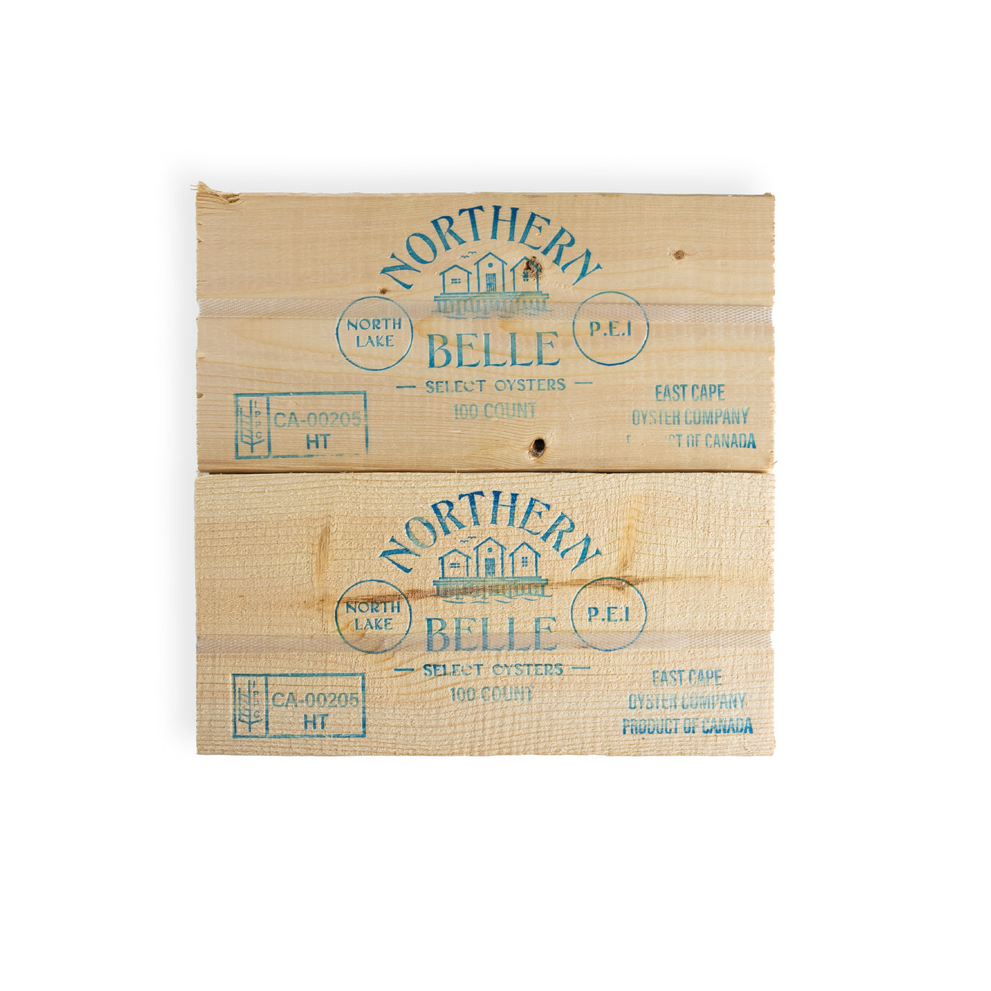 Northern Belle