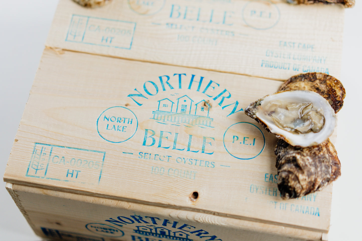 Northern Belle